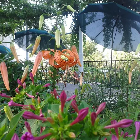 House With Garden - On The Dubrovnik Coast * Doli