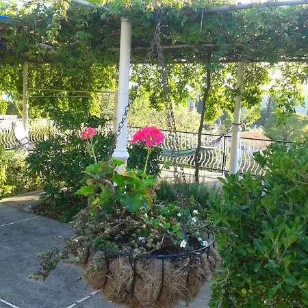 House With Garden - On The Dubrovnik Coast